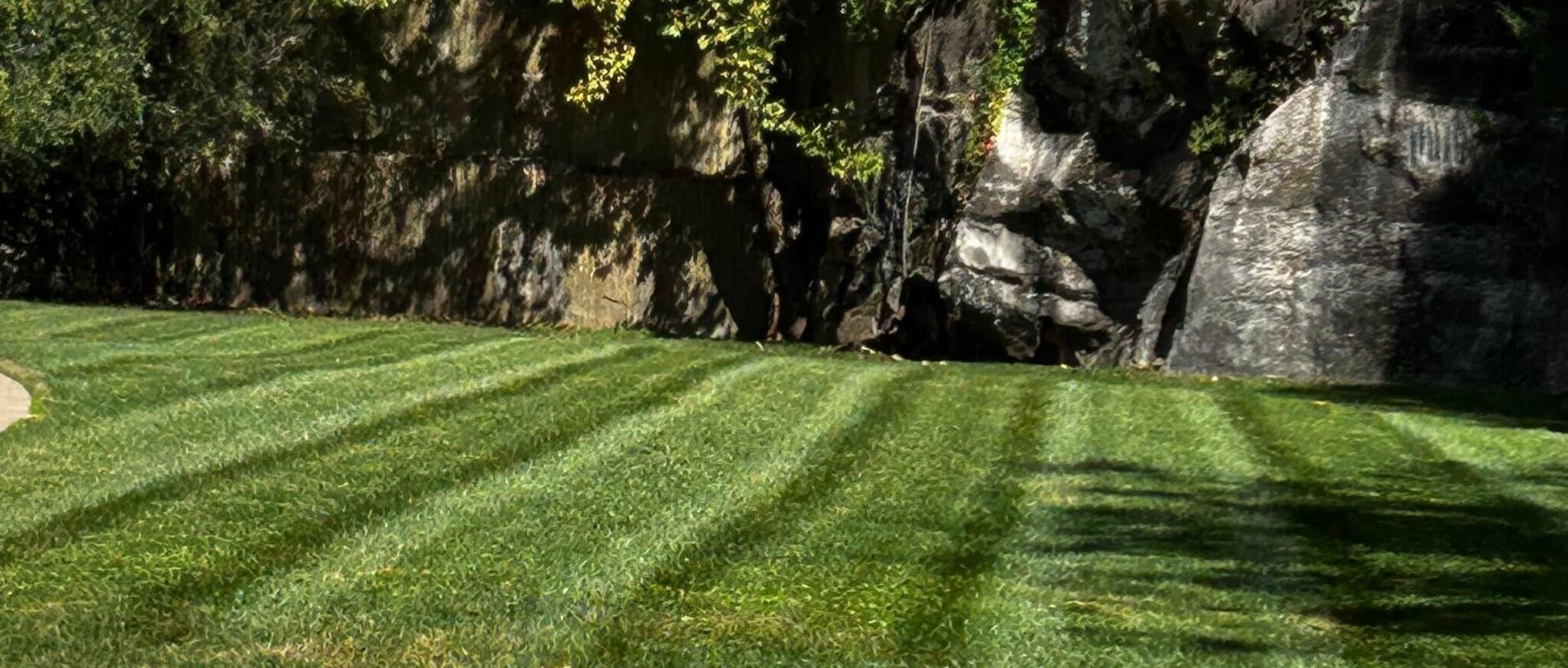 Foundation Precision Toolkit The Perfect add - on to the Healthy Grass Foundation - Backyard Pyre